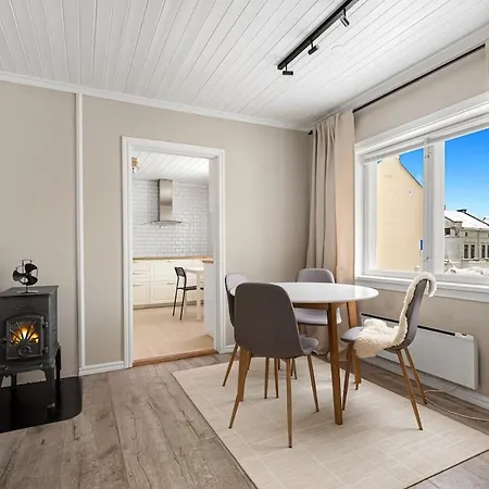 Cozy House In The Middle Of The Center Appartement Porsgrunn